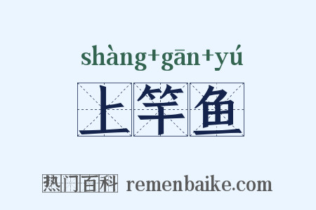 上竿鱼是什么意思的图片